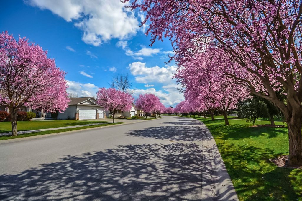 Neighborhood Houses