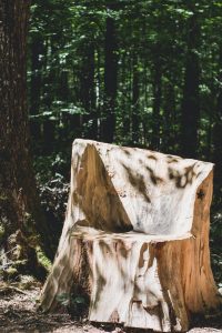 rustic chair