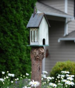 tree stump bird house