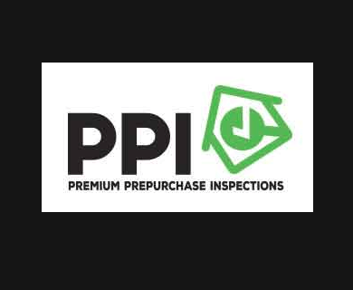 PPI Logo