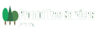 Prompt Tree Services