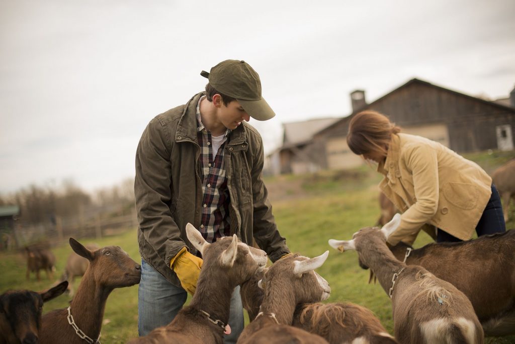 hobby farm animals to raise