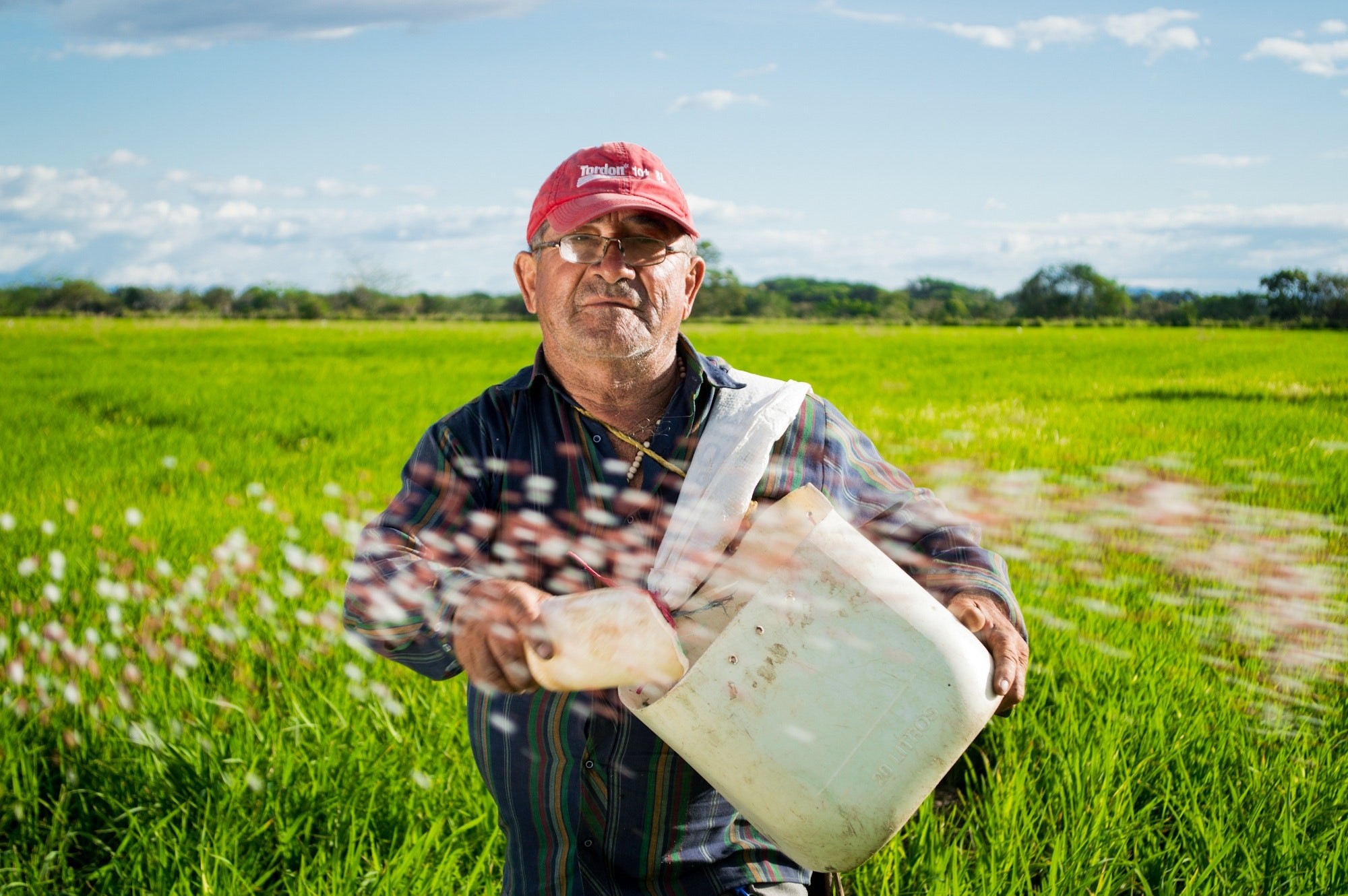 hobby farming for beginners