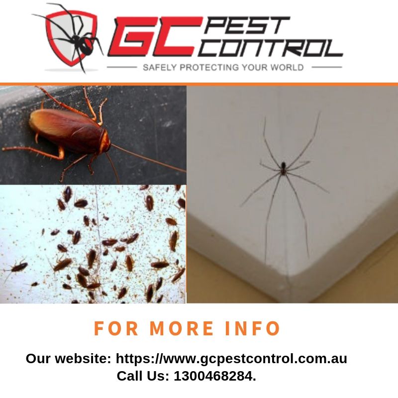 GC Pest Control