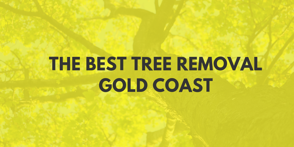 best tree removal gold coast banner