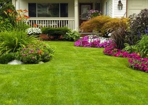 North Side Tree and Garden Services