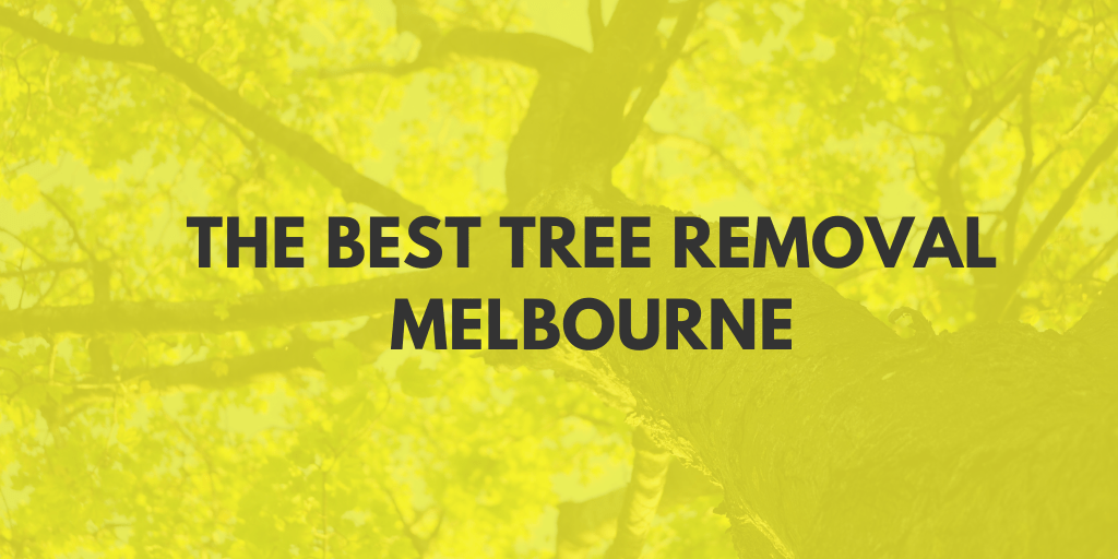 best tree removal melbourne banner