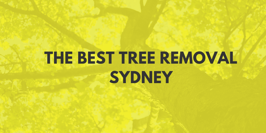 best tree removal sydney banner