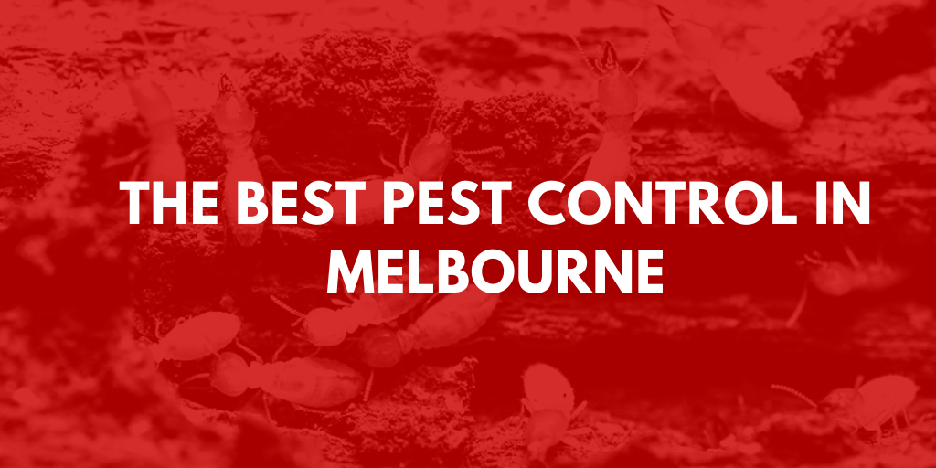 Best Pest Control Melbourne Banner