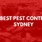 best pest control sydney banner