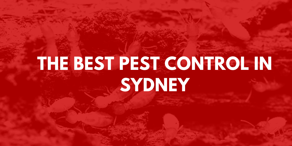 best pest control sydney banner