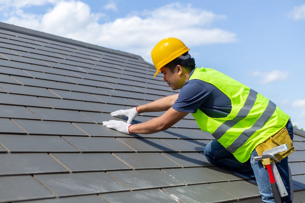 Contractor in safety gear installs NSW slate roofing on a sloped Sydney residential roof that needs repairs.