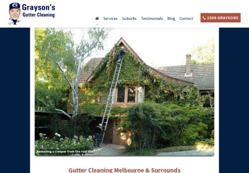 Grayson’s Gutter Cleaning