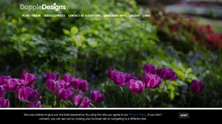 Dapple Landscape Design