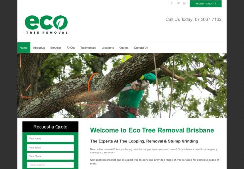 Eco Tree Removal Brisbane