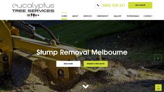 Eucalyptus Tree Services