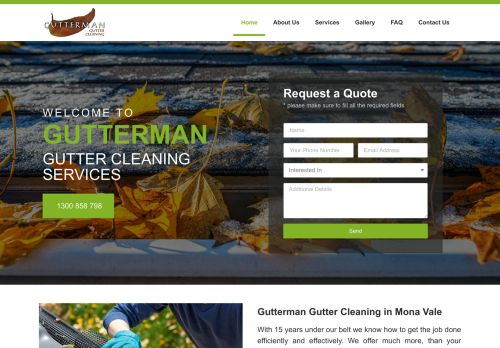 Gutterman Gutter Cleaning