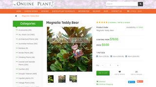 Magnolia Teddy Bear Hedge