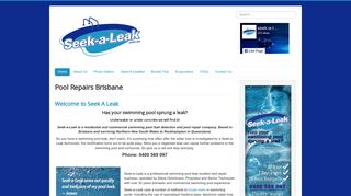 Seek-A-Leak
