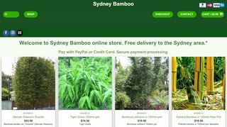 Sydney Bamboo