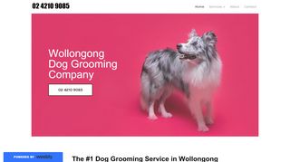 Wollongong Dog Grooming